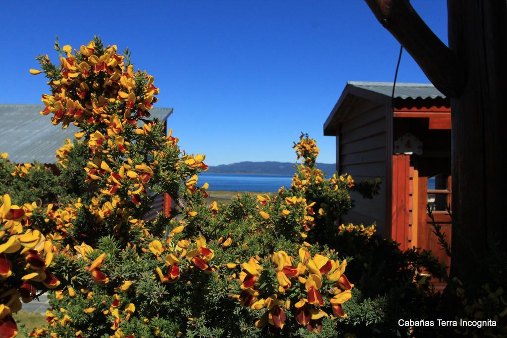 Terra Incognita Villa Ushuaia Eksteriør bilde