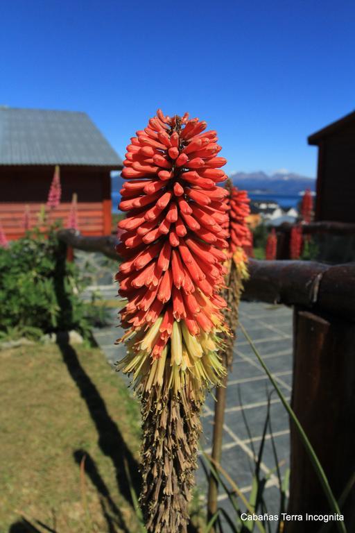 Terra Incognita Villa Ushuaia Eksteriør bilde