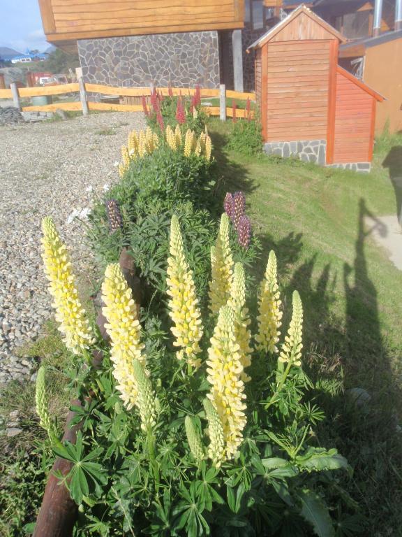 Terra Incognita Villa Ushuaia Rom bilde