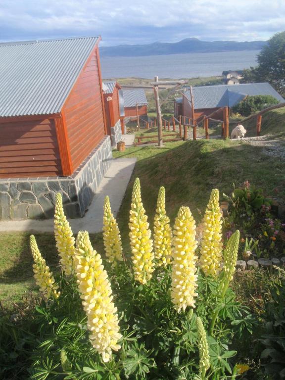 Terra Incognita Villa Ushuaia Rom bilde